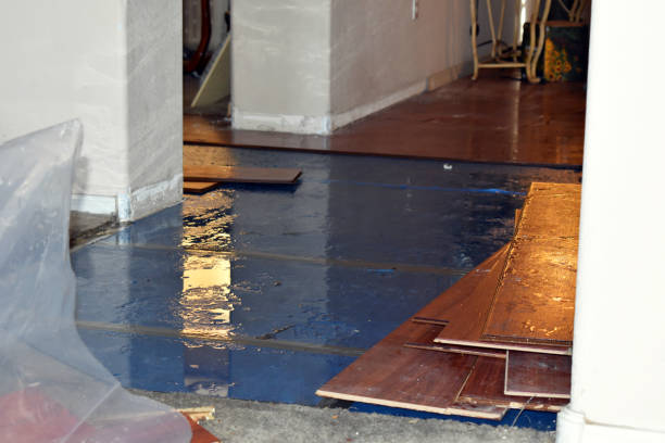 Professional Water Damage Repair technician working in La Ward, TX